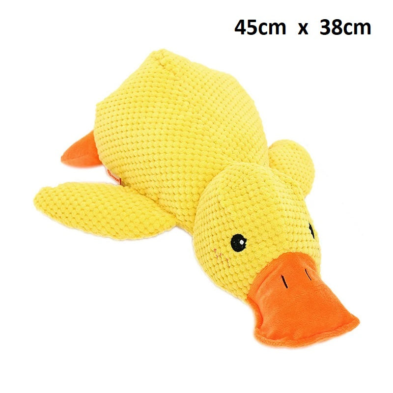 Calming Duck🐤Toy