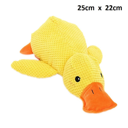 Calming Duck🐤Toy