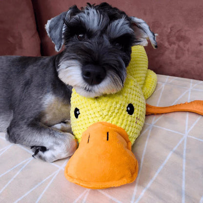 Calming Duck🐤Toy