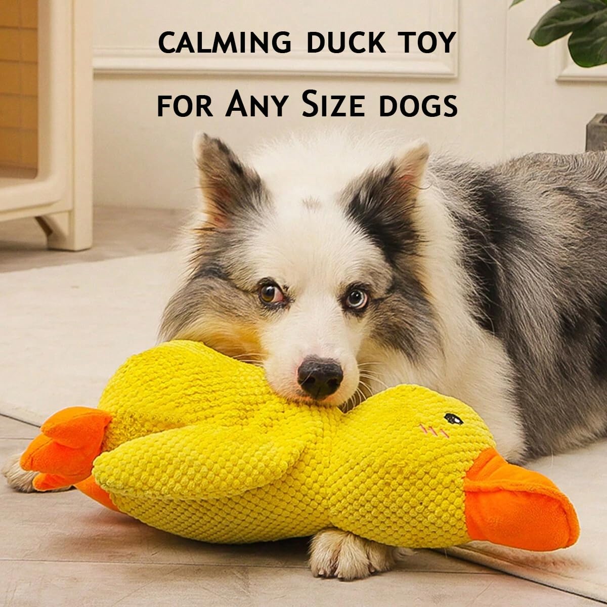 🔥Last Day Sale 50% OFF✨😸Best Friends Calming Duck Toy🐶